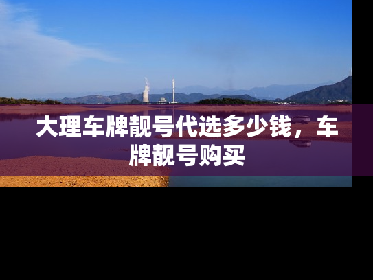 大理车牌靓号代选多少钱，车牌靓号购买