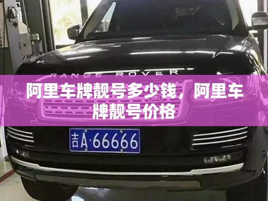 阿里车牌靓号多少钱，阿里车牌靓号价格-第3张图片-七号汽车选号