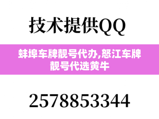 蚌埠车牌靓号代办,怒江车牌靓号代选黄牛