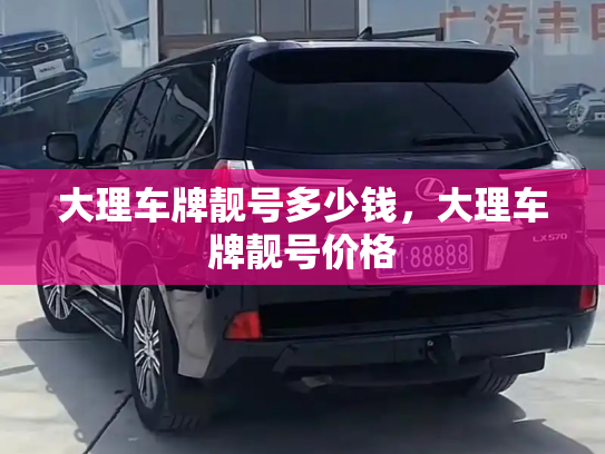 大理车牌靓号多少钱，大理车牌靓号价格-第3张图片-七号汽车选号