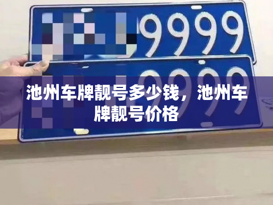 池州车牌靓号多少钱，池州车牌靓号价格-第3张图片-七号汽车选号