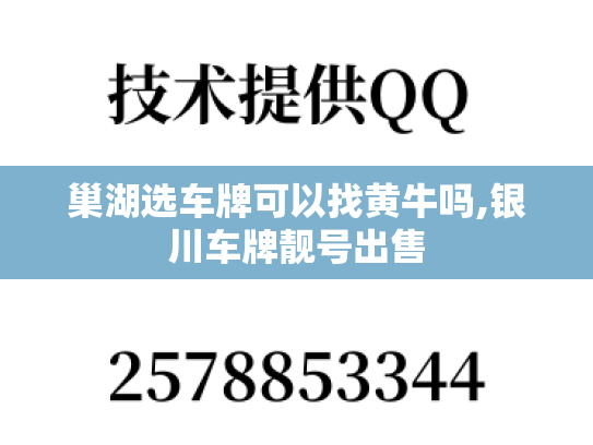 巢湖选车牌可以找黄牛吗,银川车牌靓号出售