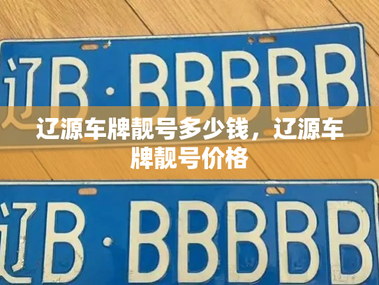 辽源车牌靓号多少钱，辽源车牌靓号价格-第3张图片-七号汽车选号