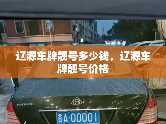 辽源车牌靓号多少钱，辽源车牌靓号价格-第4张图片-七号汽车选号