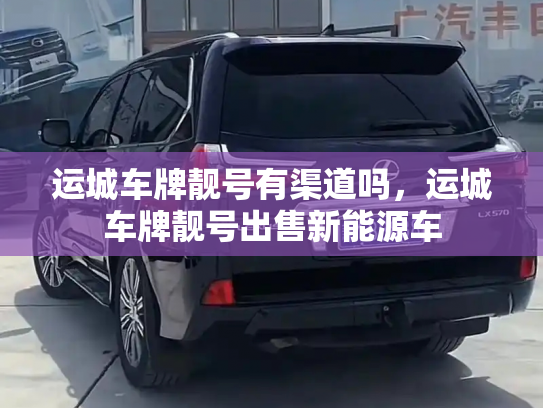 运城车牌靓号有渠道吗,运城车牌靓号出售新能源车-第2张图片-七号汽车选号 运城车牌靓号有渠道吗,运城车牌靓号出售新能源车-第2张图片-七号汽车选号