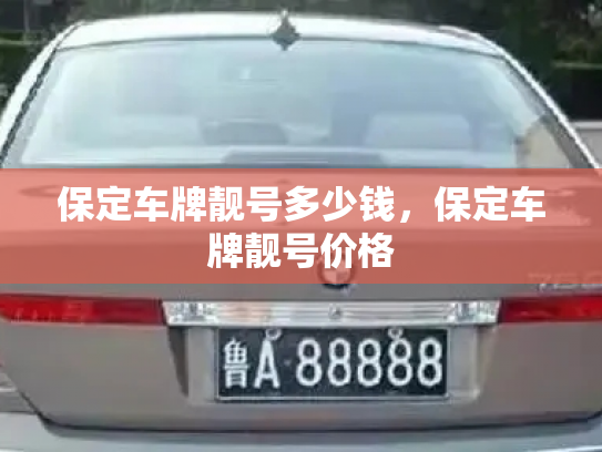 保定车牌靓号多少钱，保定车牌靓号价格-第3张图片-七号汽车选号