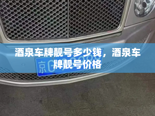 酒泉车牌靓号多少钱，酒泉车牌靓号价格-第4张图片-七号汽车选号