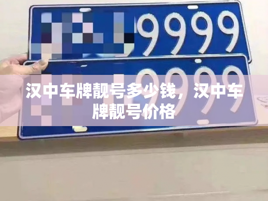 汉中车牌靓号多少钱，汉中车牌靓号价格-第3张图片-七号汽车选号