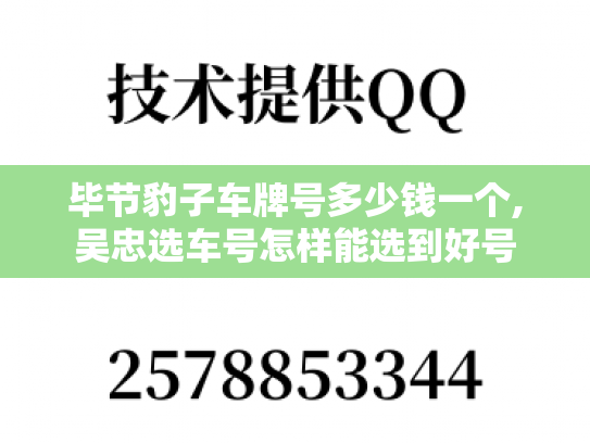 毕节豹子车牌号多少钱一个,吴忠选车号怎样能选到好号-第1张图片-七号汽车选号