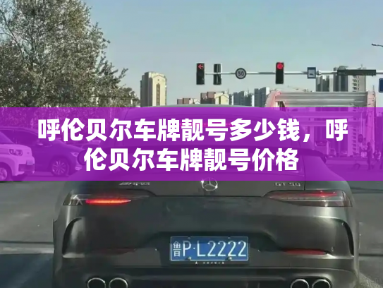 呼伦贝尔车牌靓号多少钱，呼伦贝尔车牌靓号价格-第3张图片-七号汽车选号
