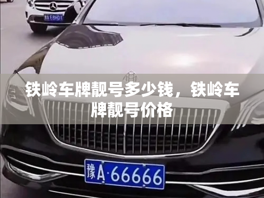 铁岭车牌靓号多少钱,铁岭车牌靓号价格-第4张图片-七号汽车选号 铁岭车牌靓号多少钱,铁岭车牌靓号价格-第4张图片-七号汽车选号