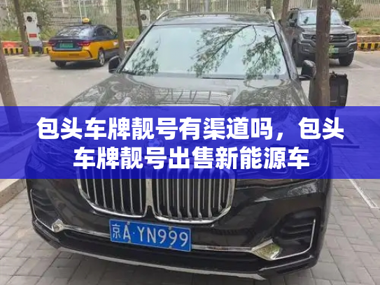 包头车牌靓号有渠道吗,包头车牌靓号出售新能源车-第3张图片-七号汽车选号 包头车牌靓号有渠道吗,包头车牌靓号出售新能源车-第3张图片-七号汽车选号