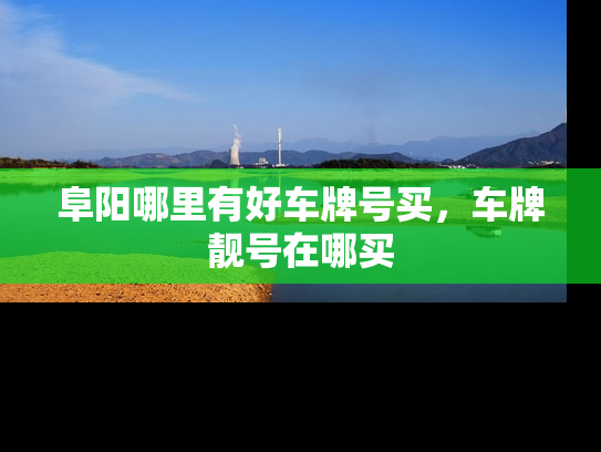阜阳哪里有好车牌号买，车牌靓号在哪买