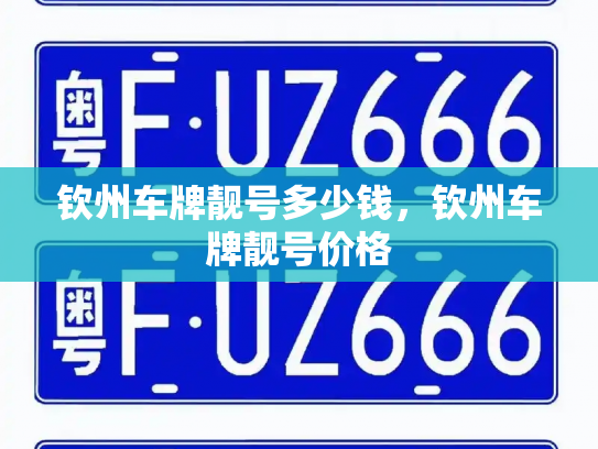 钦州车牌靓号多少钱,钦州车牌靓号价格-第3张图片-七号汽车选号 钦州车牌靓号多少钱,钦州车牌靓号价格-第3张图片-七号汽车选号