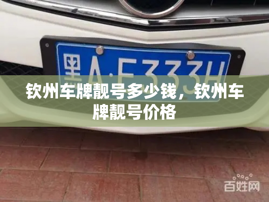 钦州车牌靓号多少钱,钦州车牌靓号价格-第4张图片-七号汽车选号 钦州车牌靓号多少钱,钦州车牌靓号价格-第4张图片-七号汽车选号