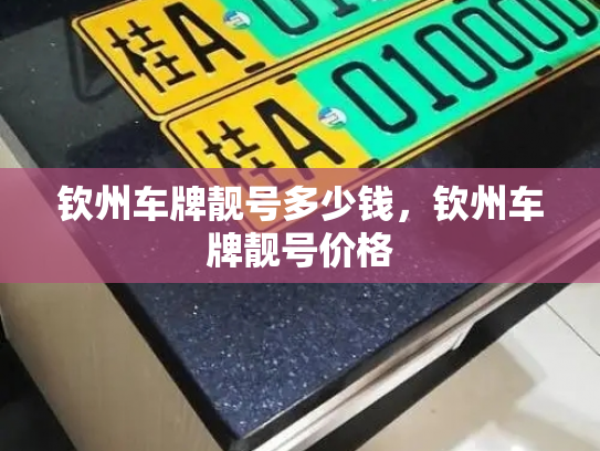 钦州车牌靓号多少钱,钦州车牌靓号价格-第2张图片-七号汽车选号 钦州车牌靓号多少钱,钦州车牌靓号价格-第2张图片-七号汽车选号