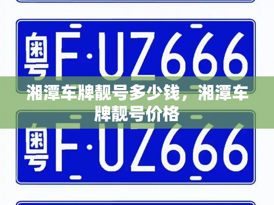 湘潭车牌靓号多少钱，湘潭车牌靓号价格-第2张图片-七号汽车选号