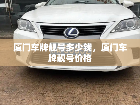 厦门车牌靓号多少钱，厦门车牌靓号价格-第3张图片-七号汽车选号