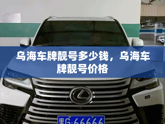 乌海车牌靓号多少钱,乌海车牌靓号价格-第3张图片-七号汽车选号 乌海车牌靓号多少钱,乌海车牌靓号价格-第3张图片-七号汽车选号