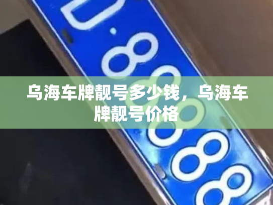 乌海车牌靓号多少钱,乌海车牌靓号价格-第4张图片-七号汽车选号 乌海车牌靓号多少钱,乌海车牌靓号价格-第4张图片-七号汽车选号