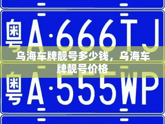乌海车牌靓号多少钱,乌海车牌靓号价格-第2张图片-七号汽车选号 乌海车牌靓号多少钱,乌海车牌靓号价格-第2张图片-七号汽车选号