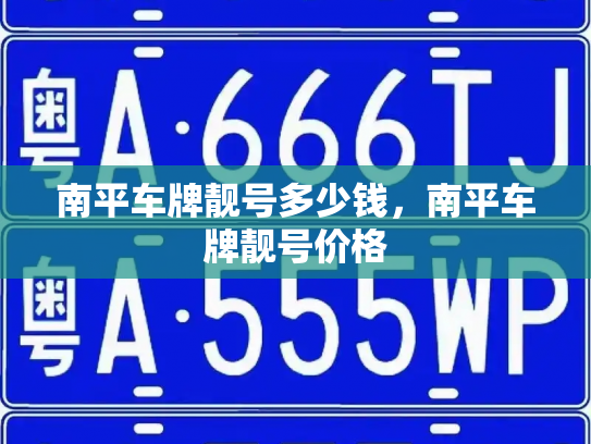 南平车牌靓号多少钱,南平车牌靓号价格-第3张图片-七号汽车选号 南平车牌靓号多少钱,南平车牌靓号价格-第3张图片-七号汽车选号