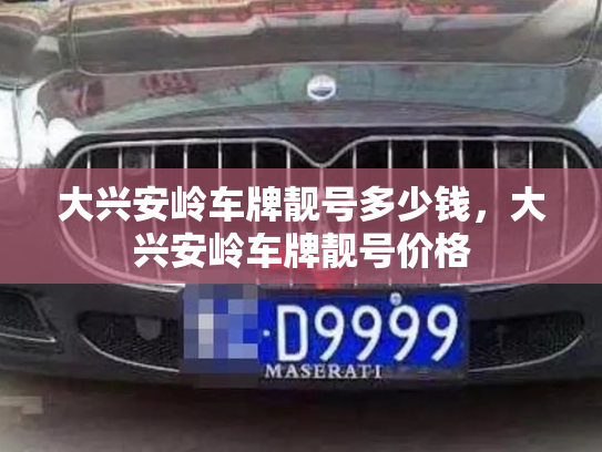 大兴安岭车牌靓号多少钱,大兴安岭车牌靓号价格-第2张图片-七号汽车选号 大兴安岭车牌靓号多少钱,大兴安岭车牌靓号价格-第2张图片-七号汽车选号