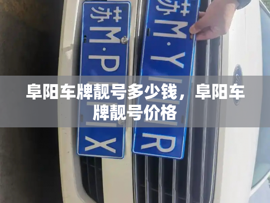 阜阳车牌靓号多少钱，阜阳车牌靓号价格-第3张图片-七号汽车选号