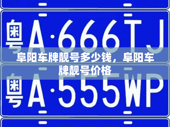 阜阳车牌靓号多少钱，阜阳车牌靓号价格-第4张图片-七号汽车选号