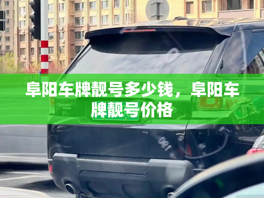 阜阳车牌靓号多少钱，阜阳车牌靓号价格-第2张图片-七号汽车选号