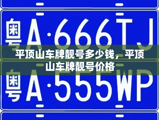 平顶山车牌靓号多少钱，平顶山车牌靓号价格-第3张图片-七号汽车选号