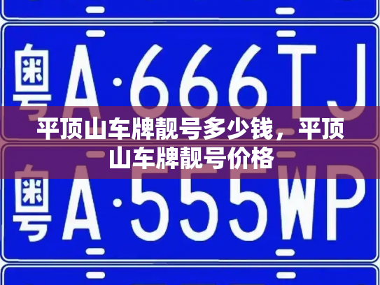 平顶山车牌靓号多少钱，平顶山车牌靓号价格-第4张图片-七号汽车选号