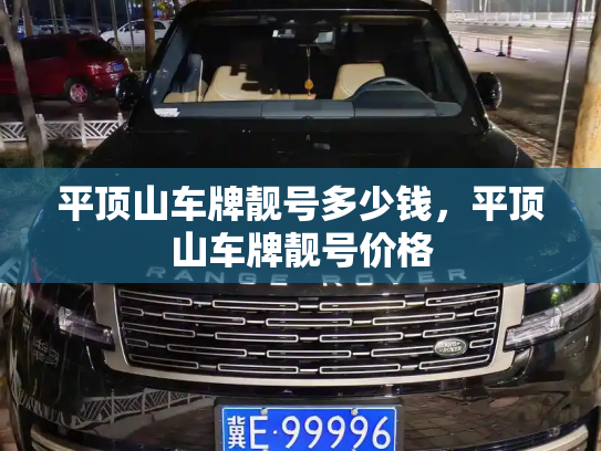 平顶山车牌靓号多少钱，平顶山车牌靓号价格-第2张图片-七号汽车选号