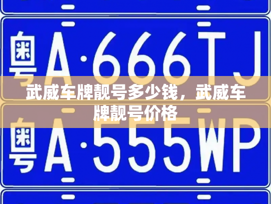 武威车牌靓号多少钱,武威车牌靓号价格-第3张图片-七号汽车选号 武威车牌靓号多少钱,武威车牌靓号价格-第3张图片-七号汽车选号