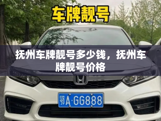 抚州车牌靓号多少钱，抚州车牌靓号价格-第3张图片-七号汽车选号