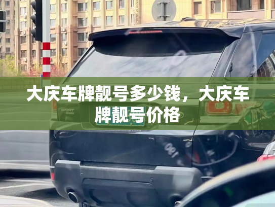 大庆车牌靓号多少钱,大庆车牌靓号价格-第3张图片-七号汽车选号 大庆车牌靓号多少钱,大庆车牌靓号价格-第3张图片-七号汽车选号