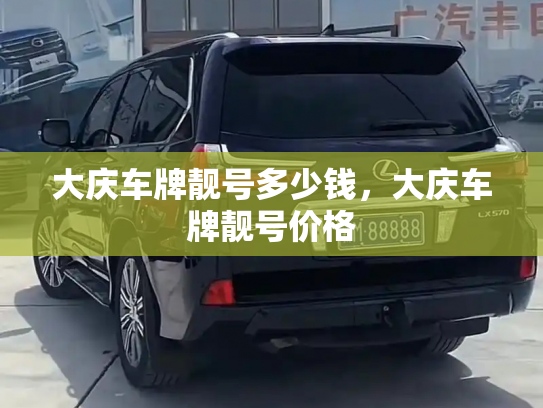 大庆车牌靓号多少钱,大庆车牌靓号价格-第4张图片-七号汽车选号 大庆车牌靓号多少钱,大庆车牌靓号价格-第4张图片-七号汽车选号