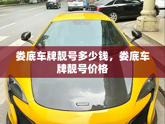 娄底车牌靓号多少钱,娄底车牌靓号价格-第2张图片-七号汽车选号 娄底车牌靓号多少钱,娄底车牌靓号价格-第2张图片-七号汽车选号