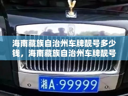 海南藏族自治州车牌靓号多少钱，海南藏族自治州车牌靓号价格-第3张图片-七号汽车选号
