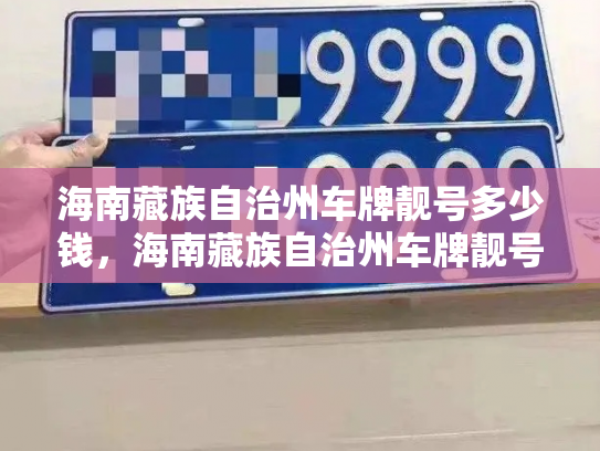 海南藏族自治州车牌靓号多少钱，海南藏族自治州车牌靓号价格-第4张图片-七号汽车选号