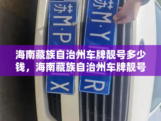 海南藏族自治州车牌靓号多少钱，海南藏族自治州车牌靓号价格-第2张图片-七号汽车选号