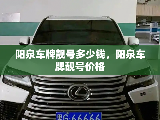 阳泉车牌靓号多少钱,阳泉车牌靓号价格-第4张图片-七号汽车选号 阳泉车牌靓号多少钱,阳泉车牌靓号价格-第4张图片-七号汽车选号