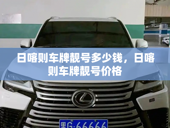 日喀则车牌靓号多少钱，日喀则车牌靓号价格-第3张图片-七号汽车选号