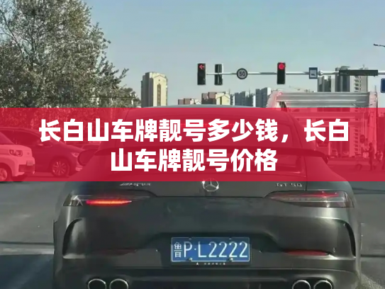 长白山车牌靓号多少钱，长白山车牌靓号价格-第2张图片-七号汽车选号