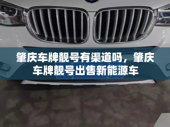 肇庆车牌靓号有渠道吗，肇庆车牌靓号出售新能源车-第3张图片-七号汽车选号