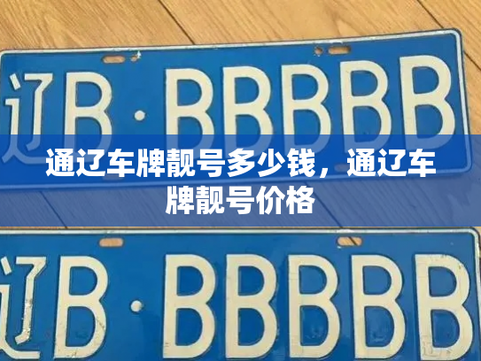 通辽车牌靓号多少钱,通辽车牌靓号价格-第2张图片-七号汽车选号 通辽车牌靓号多少钱,通辽车牌靓号价格-第2张图片-七号汽车选号