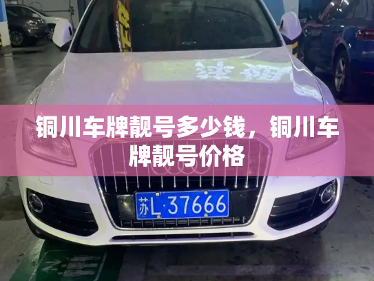 铜川车牌靓号多少钱,铜川车牌靓号价格-第3张图片-七号汽车选号 铜川车牌靓号多少钱,铜川车牌靓号价格-第3张图片-七号汽车选号