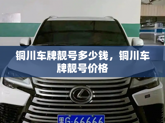 铜川车牌靓号多少钱,铜川车牌靓号价格-第4张图片-七号汽车选号 铜川车牌靓号多少钱,铜川车牌靓号价格-第4张图片-七号汽车选号