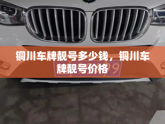 铜川车牌靓号多少钱,铜川车牌靓号价格-第2张图片-七号汽车选号 铜川车牌靓号多少钱,铜川车牌靓号价格-第2张图片-七号汽车选号