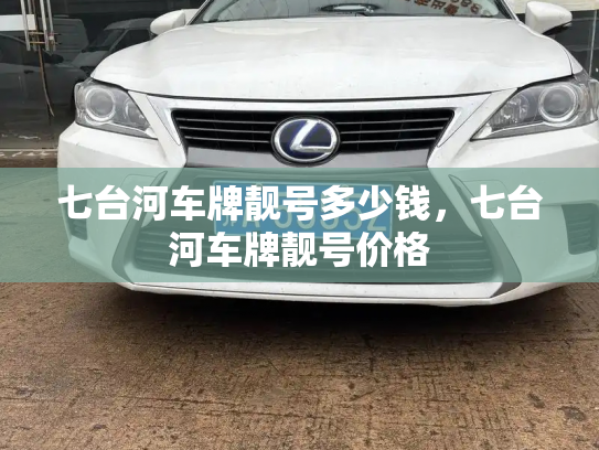 七台河车牌靓号多少钱,七台河车牌靓号价格-第3张图片-七号汽车选号 七台河车牌靓号多少钱,七台河车牌靓号价格-第3张图片-七号汽车选号